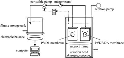 Preparation and characterization of superior hydrophilic PVDF/DA membranes by the self-polymerization approach of dopamine